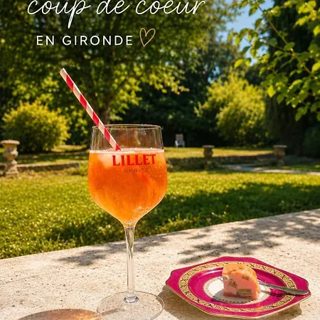 Grande Maison En Pierre Avec Terrasse Fleurie Lestiac-Sur-Garonne